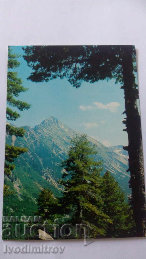 Postcard Pirin Mount Gaze