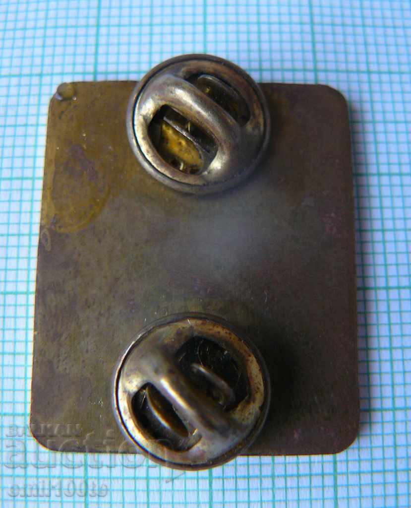 Badge - The United States Team for Universiade Sofia 1977 - 5