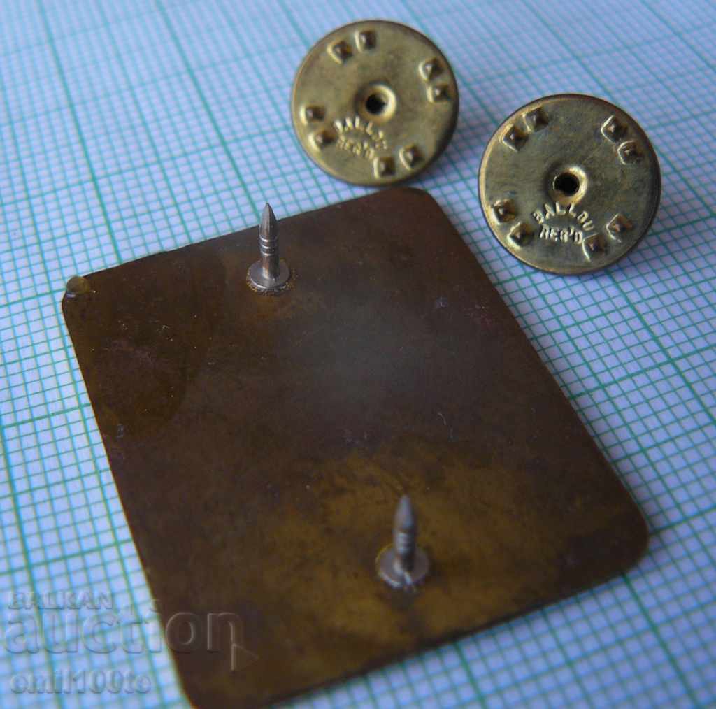 Badge - The United States Team for Universiade Sofia 1977 - 6