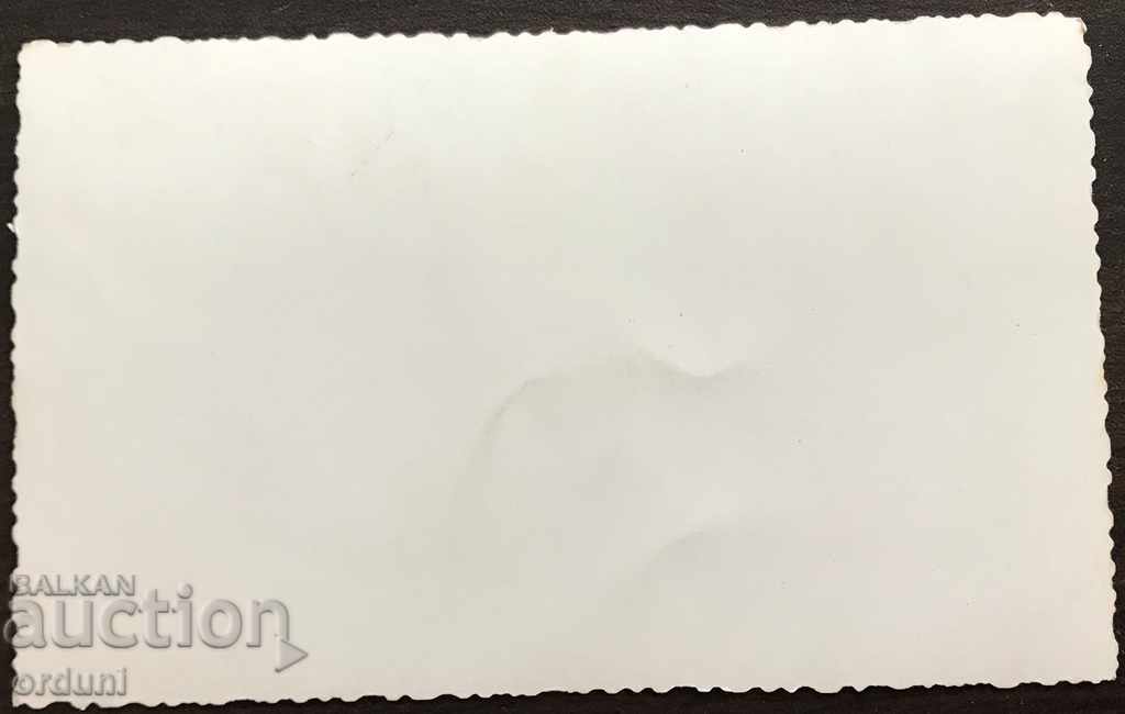 503 Bulgaria Officers Pilots MIG17 Jet Plane from 50g. with price 20.00 BGN | € 10.23