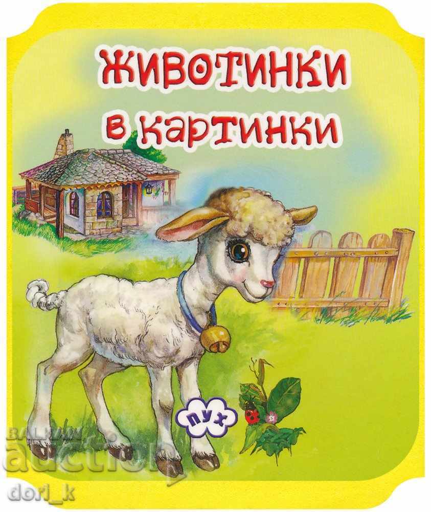 Carte armonică: Animale în imagini - Mielușel