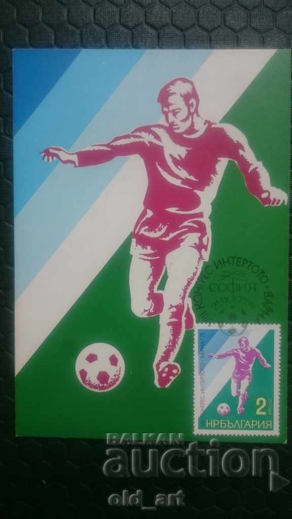 Hartă maximă - al VIII-lea Congres Intertoto