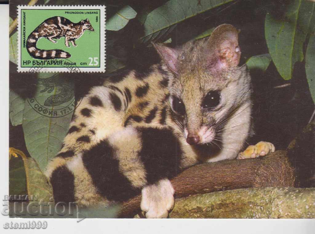 Пощенска картичка FDC животни
