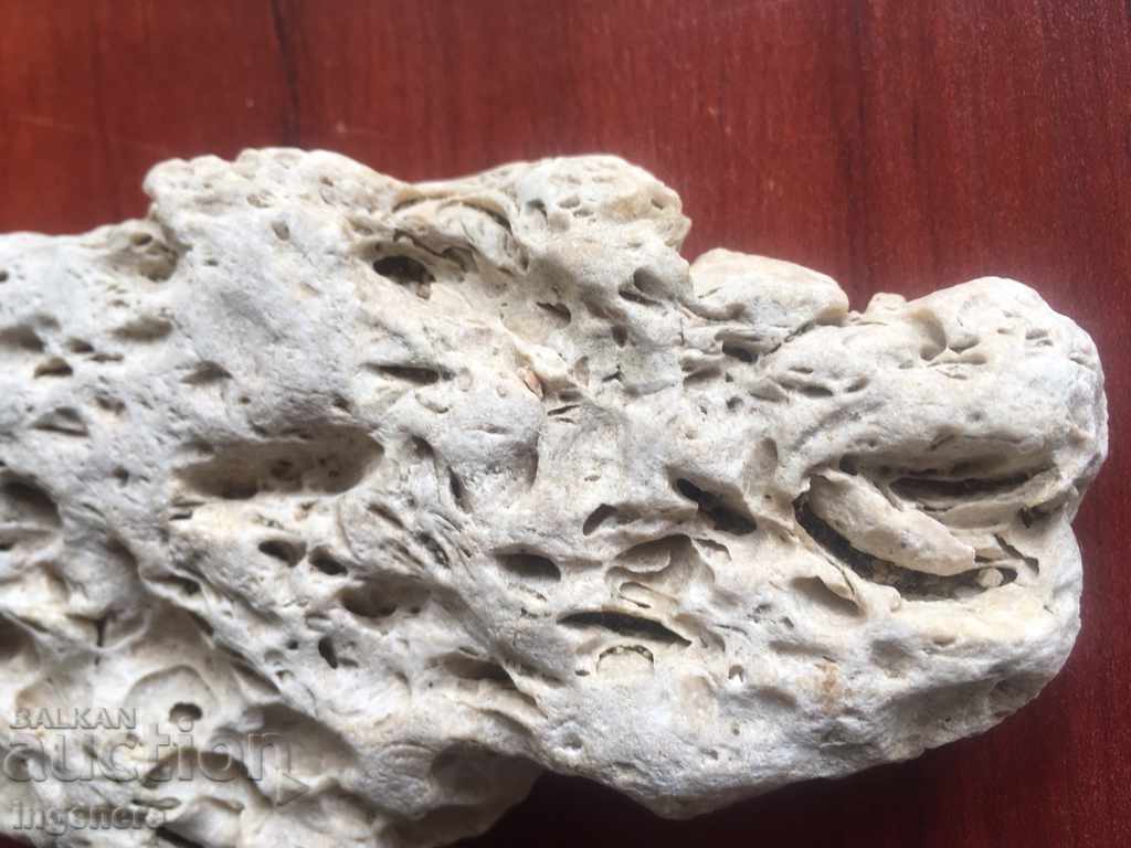 STONE MINERAL-300 GR with price 17.00 BGN | € 8.69 STONE MINERAL-300 GR with price 17.00 BGN | € 8.69