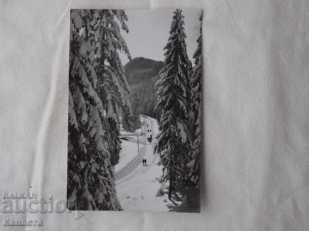 Pamporovo tourists in the winter mark 1979 К 240