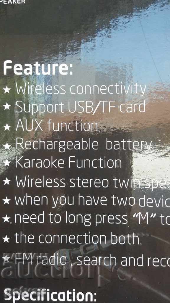 Παράδοση 2х6 "ΔΙΠΛΟ ενεργό ηχείο με μικρόφωνο Karaoke: KTΣ 1054