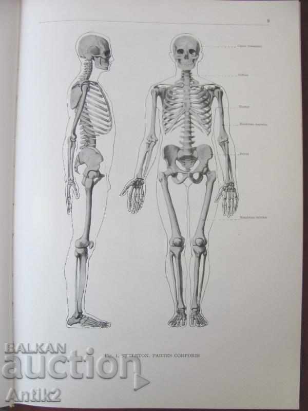 Delivery of 1971 Medical Book Anatomic Atlas Volume 1 Delivery of 1971 Medical Book Anatomic Atlas Volume 1
