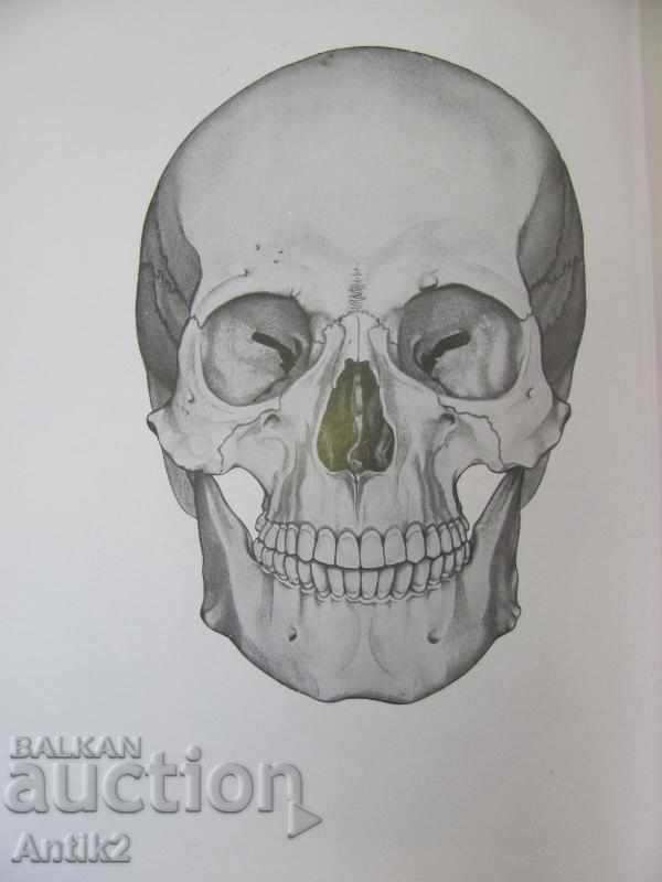 1971 Medical Book Anatomic Atlas Volume 1 - 6 1971 Medical Book Anatomic Atlas Volume 1 - 6