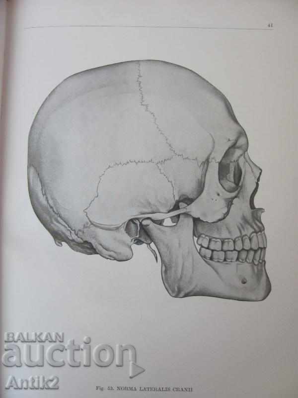 1971 Medical Book Anatomic Atlas Volume 1 - 7 1971 Medical Book Anatomic Atlas Volume 1 - 7