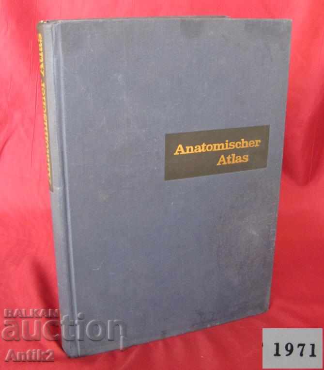 1971 Medical Book Anatomic Atlas Volume 1