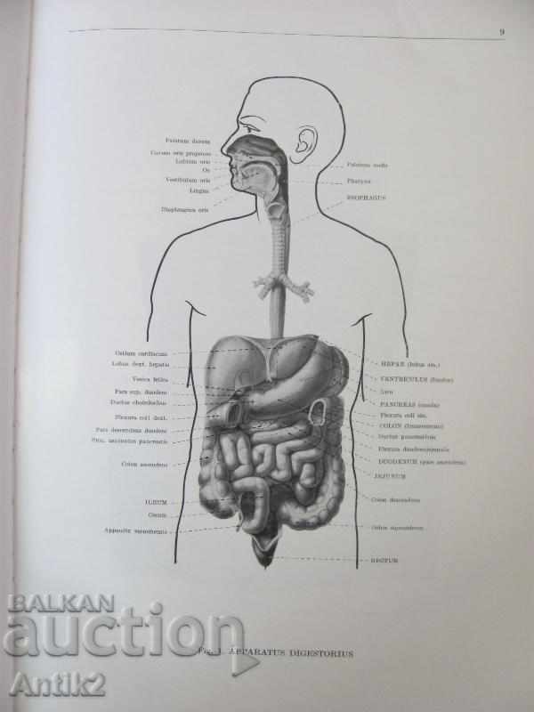 Delivery of 1971 Medical Book Anatomic Atlas Tom 2 nd Delivery of 1971 Medical Book Anatomic Atlas Tom 2 nd