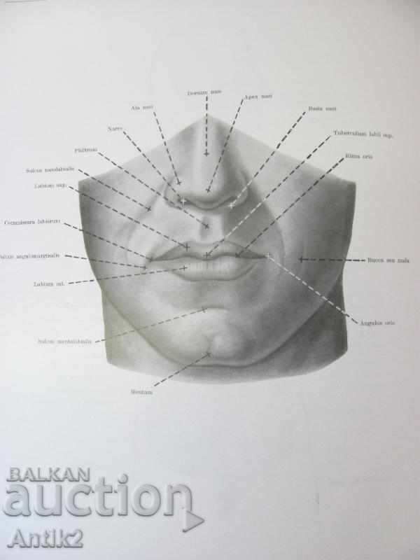 1971 Medical Book Anatomic Atlas Tom 2 nd - 5 1971 Medical Book Anatomic Atlas Tom 2 nd - 5