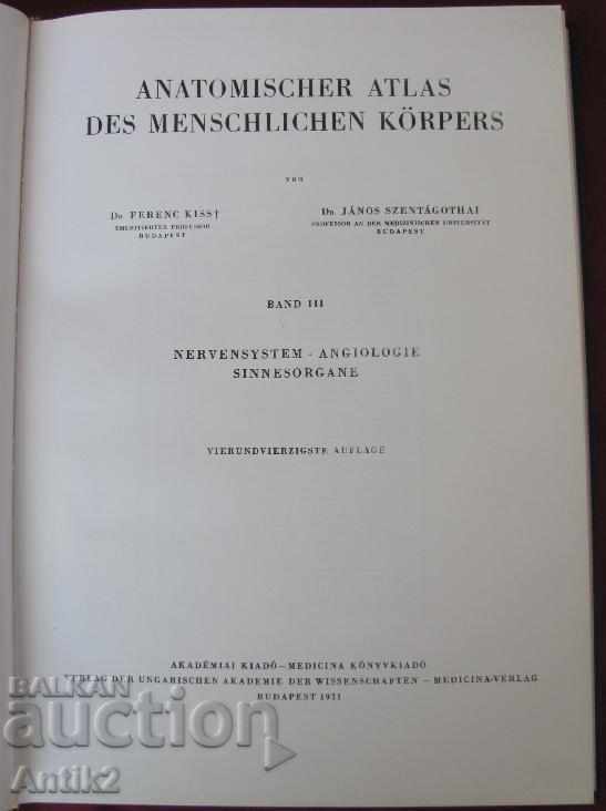 Auction 1971 Medical Book Anatomic Atlas Volume 3 th Auction 1971 Medical Book Anatomic Atlas Volume 3 th