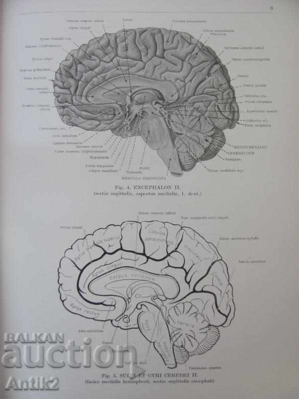 1971 Medical Book Anatomic Atlas Volume 3 th - 5 1971 Medical Book Anatomic Atlas Volume 3 th - 5
