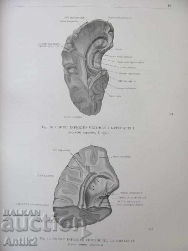 1971 Medical Book Anatomic Atlas Volume 3 th - 6 1971 Medical Book Anatomic Atlas Volume 3 th - 6