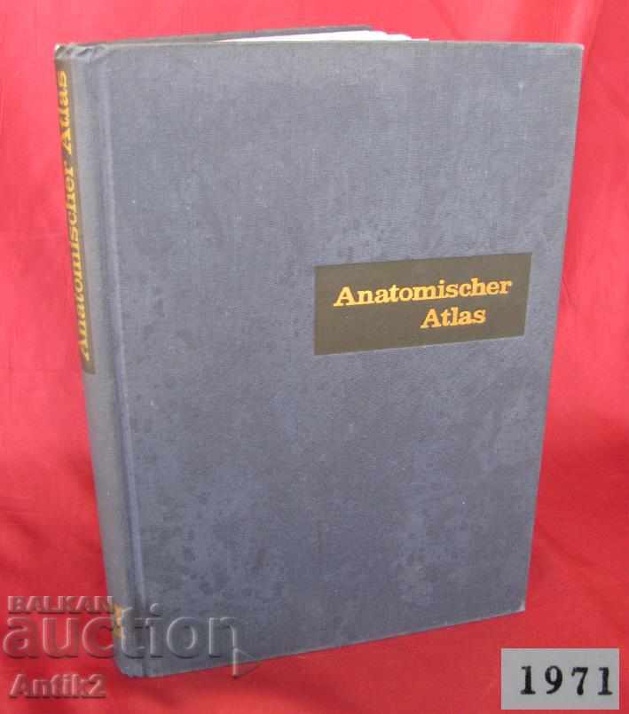 1971 Medical Book Anatomic Atlas Volume 3 th