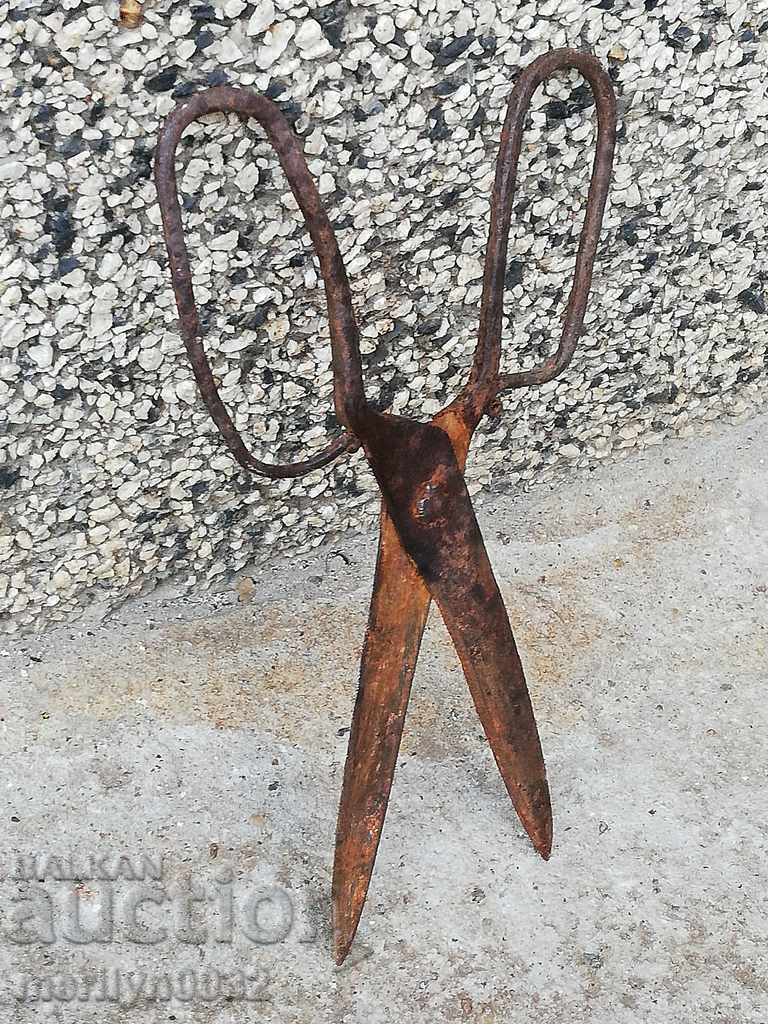 Auction  Renaissance forged scissors, wrought iron