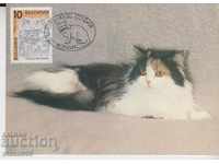Пощенска карта котки