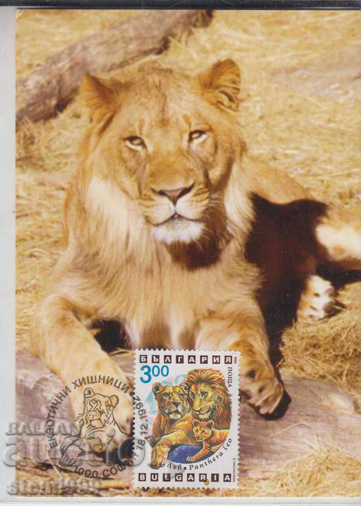 Postcard maximum Exotic predators