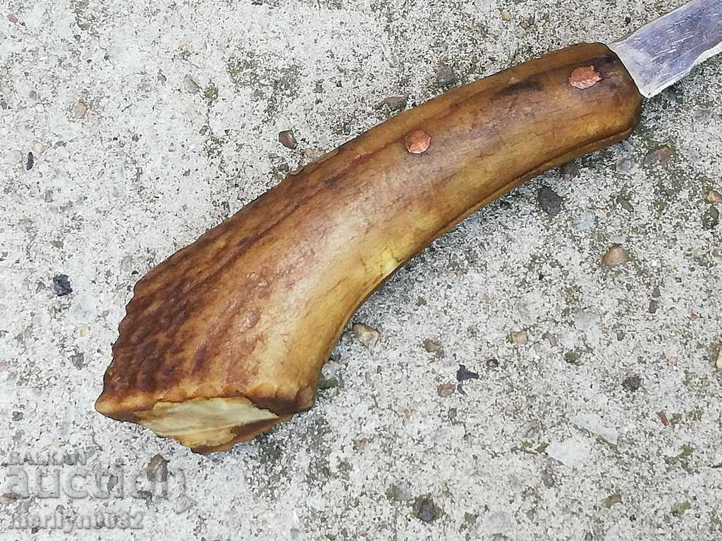 Old knife with a deer handle knife blade blade - 6 Old knife with a deer handle knife blade blade - 6