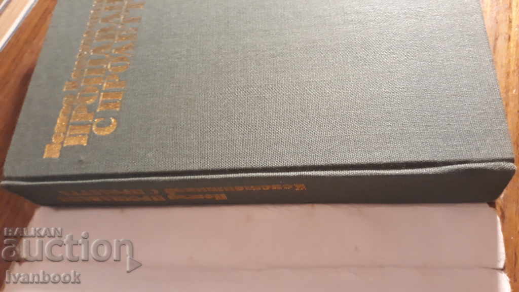 Auction  Spring Forgiveness - Peter Konstantinov