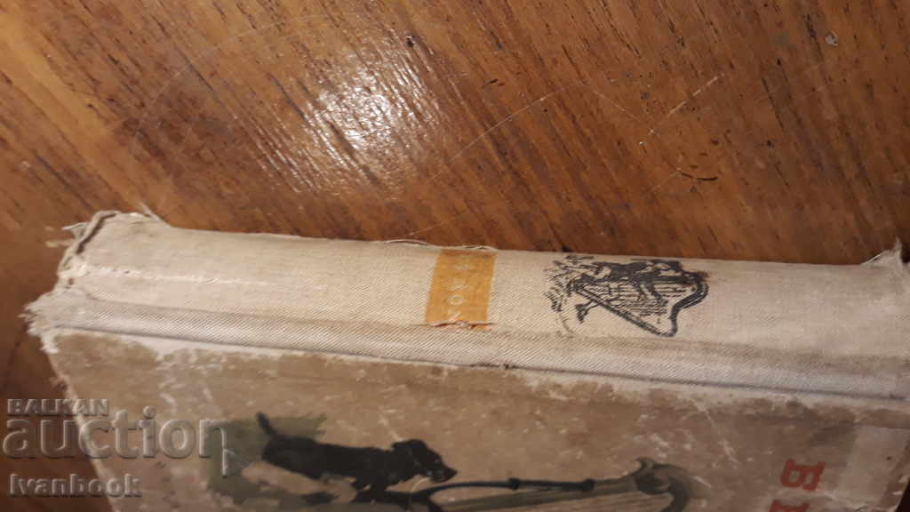 Hector Malo - No home with price 2.00 BGN | € 1.02 Hector Malo - No home with price 2.00 BGN | € 1.02