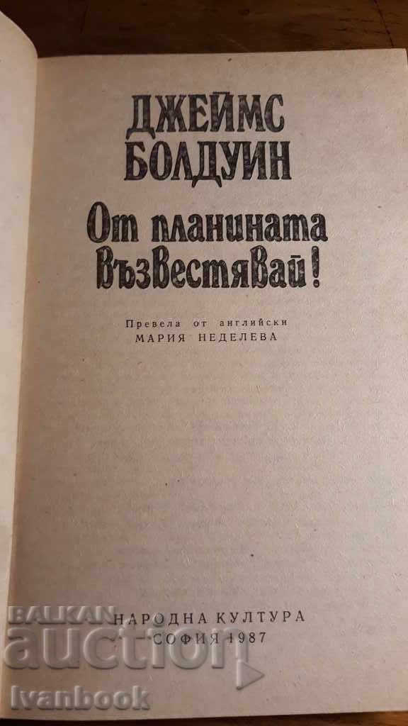 Auction  In the mountains, buzz - James Baldwin