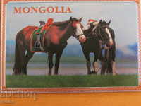 Голям автентичен  магнит от Монголия-серия-1