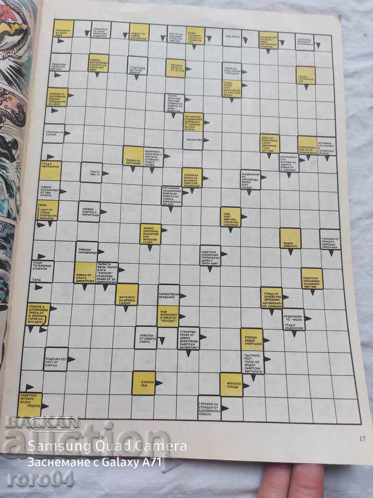 Auction Rainbow Auction Rainbow