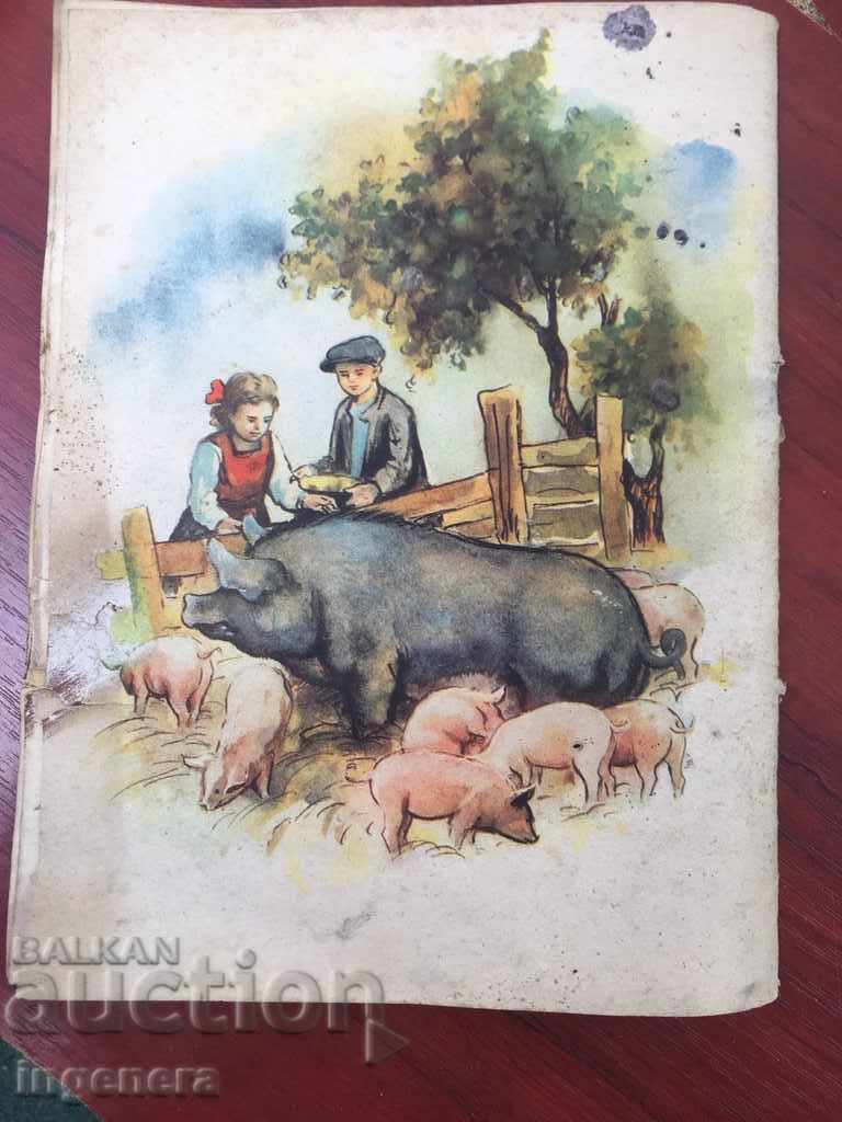 CARTEA DRUZHINKA-1952 cu preț 11.00 BGN | € 5.62