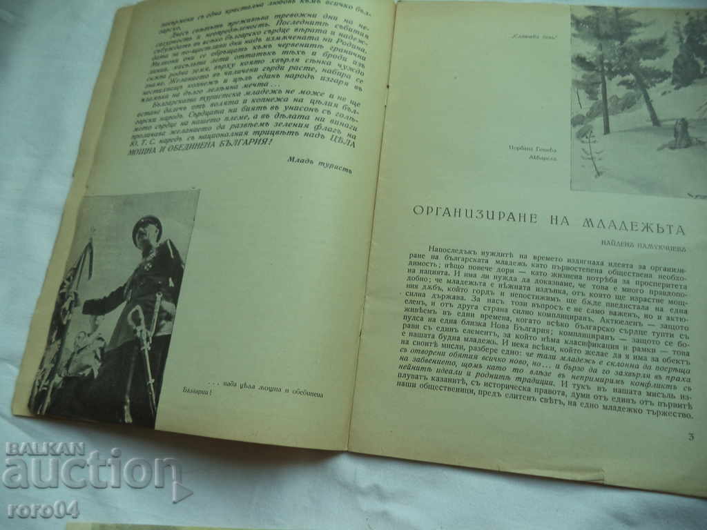 Delivery of YOUNG TOURIST Delivery of YOUNG TOURIST