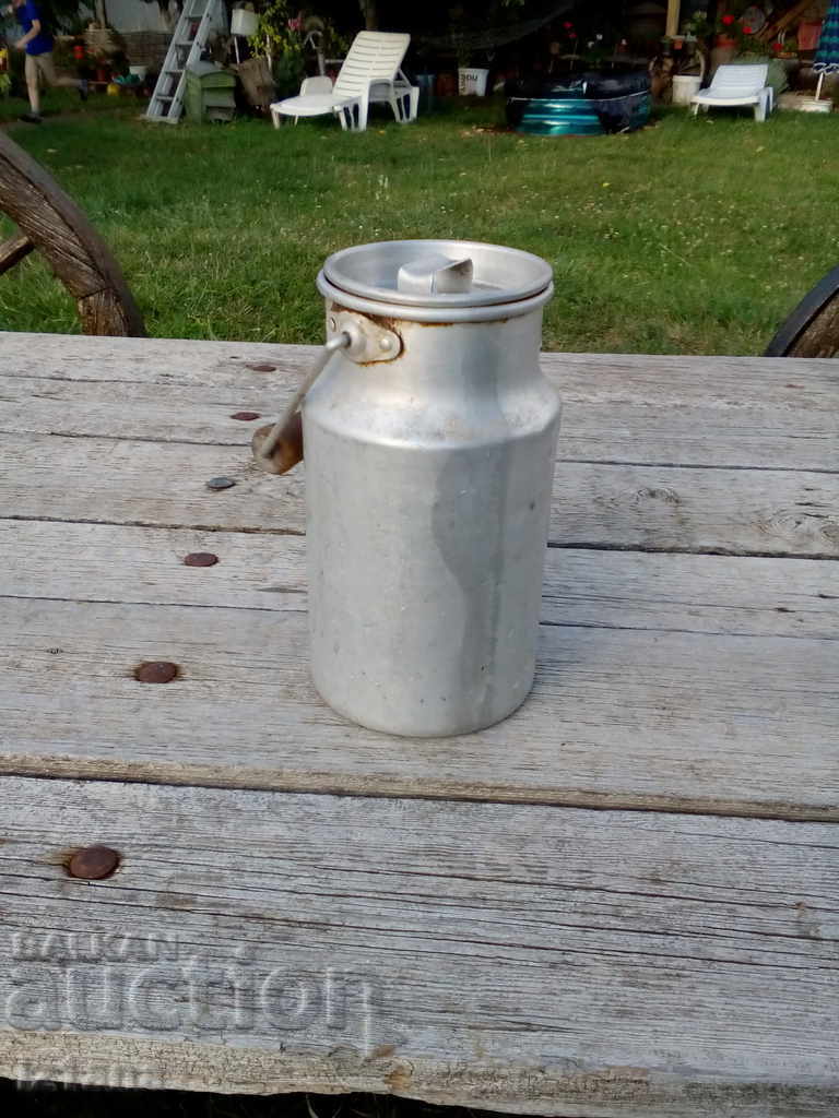 Auction  Old aluminum kitten