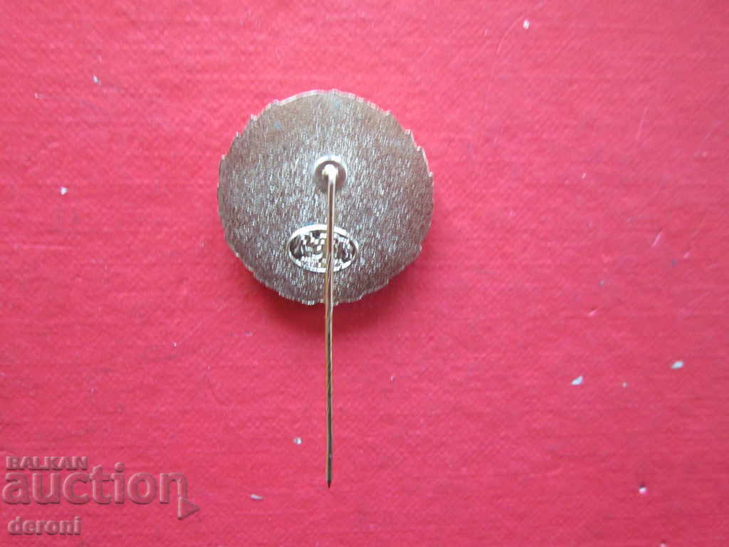 Delivery of Big bronze german marking badge sign