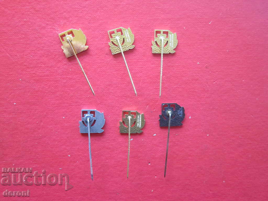 Insigne incredibile German IVV Badge Lot Loturi de marcare - 5