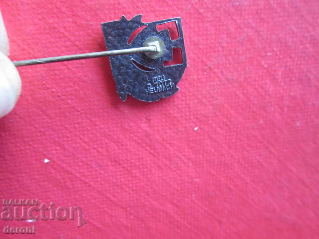 Insigne incredibile German IVV Badge Lot Loturi de marcare - 7