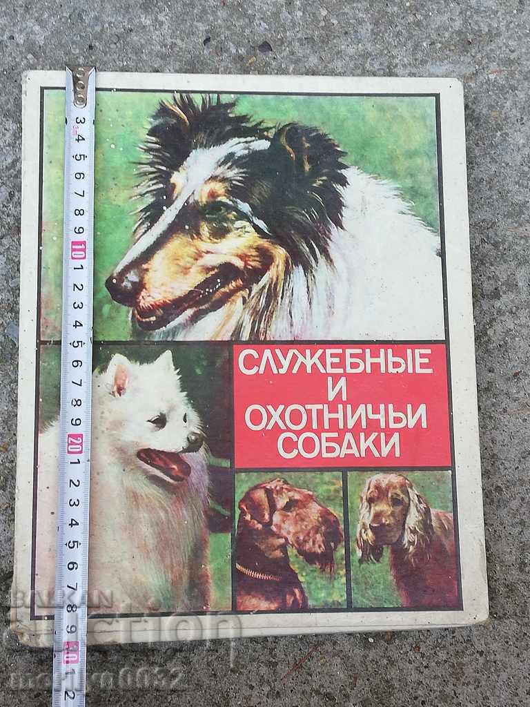 Παλιά σκυλάκια σέρβις και κυνηγόσκυλα με τιμή 77.00 BGN | € 39.37 Παλιά σκυλάκια σέρβις και κυνηγόσκυλα με τιμή 77.00 BGN | € 39.37