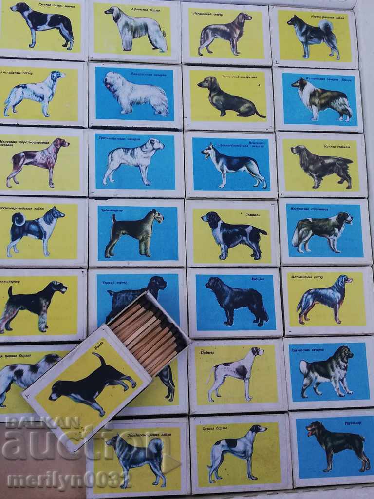 Δημοπρασία Παλιά σκυλάκια σέρβις και κυνηγόσκυλα Δημοπρασία Παλιά σκυλάκια σέρβις και κυνηγόσκυλα