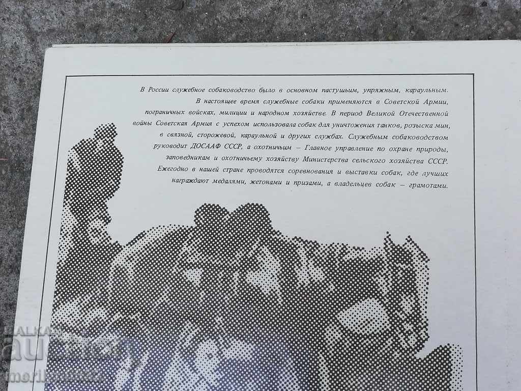 Παράδοση Παλιά σκυλάκια σέρβις και κυνηγόσκυλα Παράδοση Παλιά σκυλάκια σέρβις και κυνηγόσκυλα