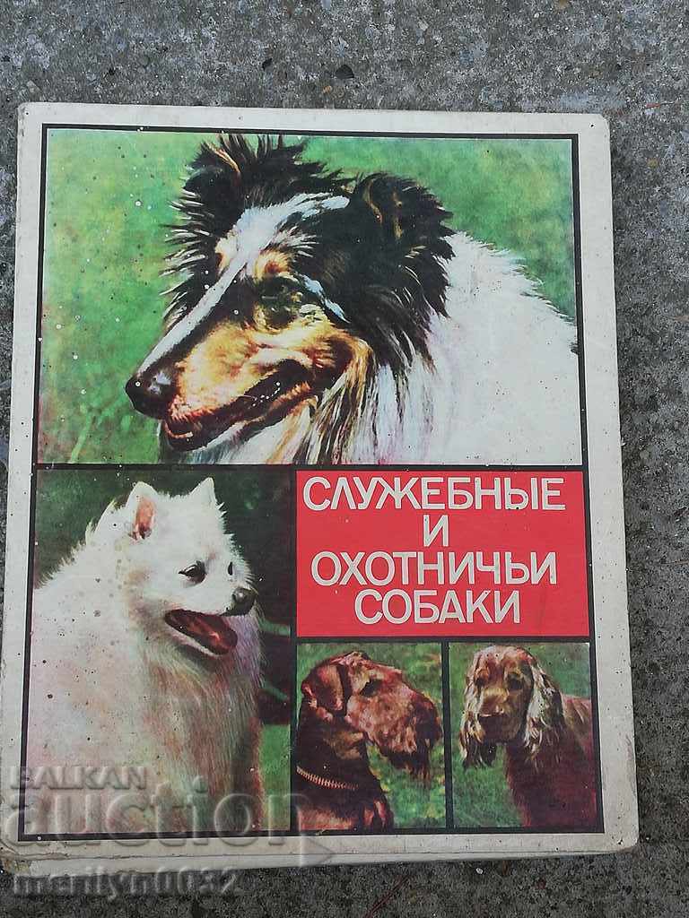 Παλιά σκυλάκια σέρβις και κυνηγόσκυλα - 6 Παλιά σκυλάκια σέρβις και κυνηγόσκυλα - 6