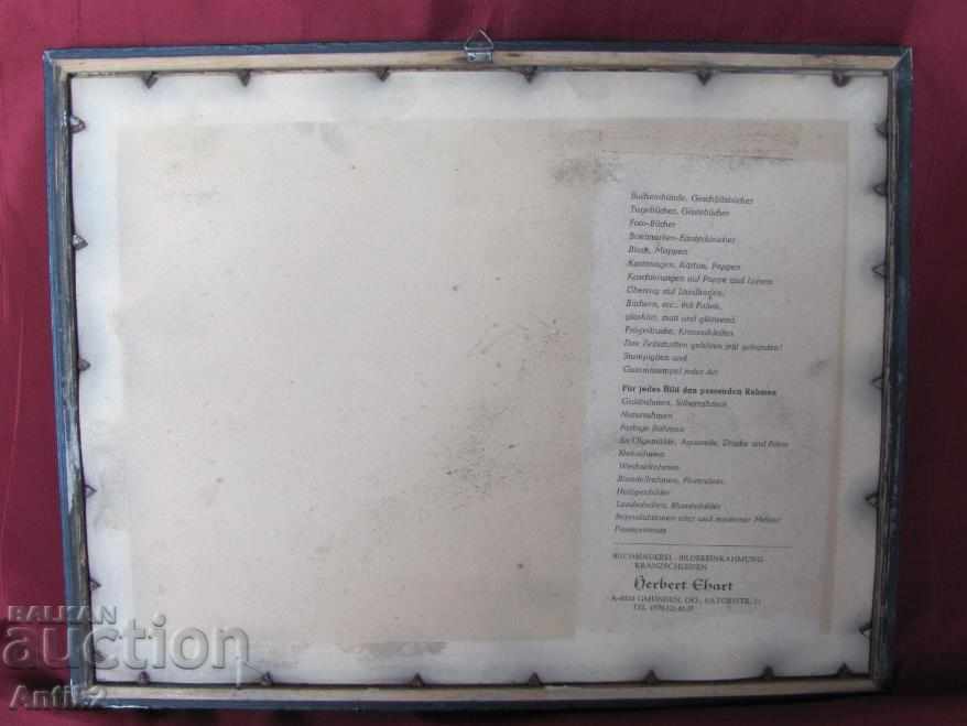 30's Antique Color Lithography- Etching Engraving Vienna - 6 30's Antique Color Lithography- Etching Engraving Vienna - 6