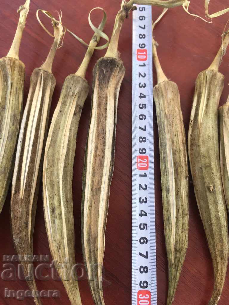 DECORATION-DRIED HUGE IKEBAN BOOM AT LEAST 10G with price 9.00 BGN | € 4.60 DECORATION-DRIED HUGE IKEBAN BOOM AT LEAST 10G with price 9.00 BGN | € 4.60