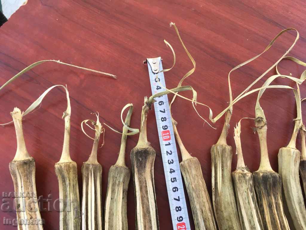 Delivery of DECORATION-DRIED HUGE IKEBAN BOOM AT LEAST 10G Delivery of DECORATION-DRIED HUGE IKEBAN BOOM AT LEAST 10G