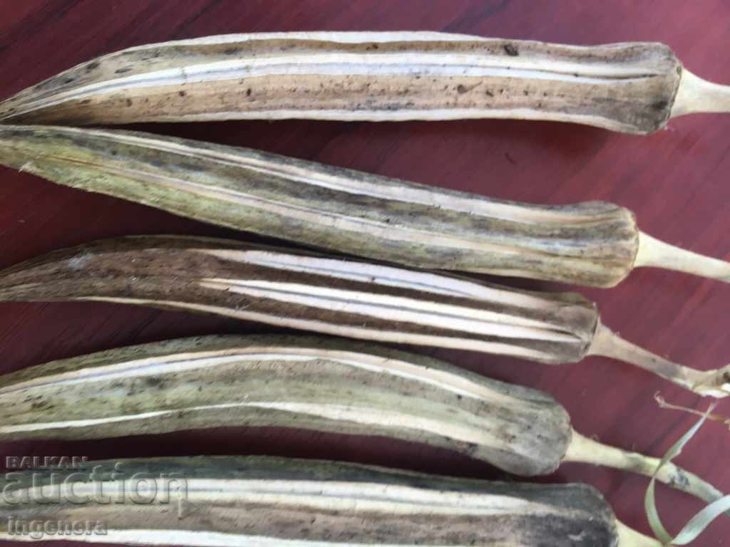 DECORATION-DRIED HUGE IKEBAN BOOM AT LEAST 10G - 5 DECORATION-DRIED HUGE IKEBAN BOOM AT LEAST 10G - 5