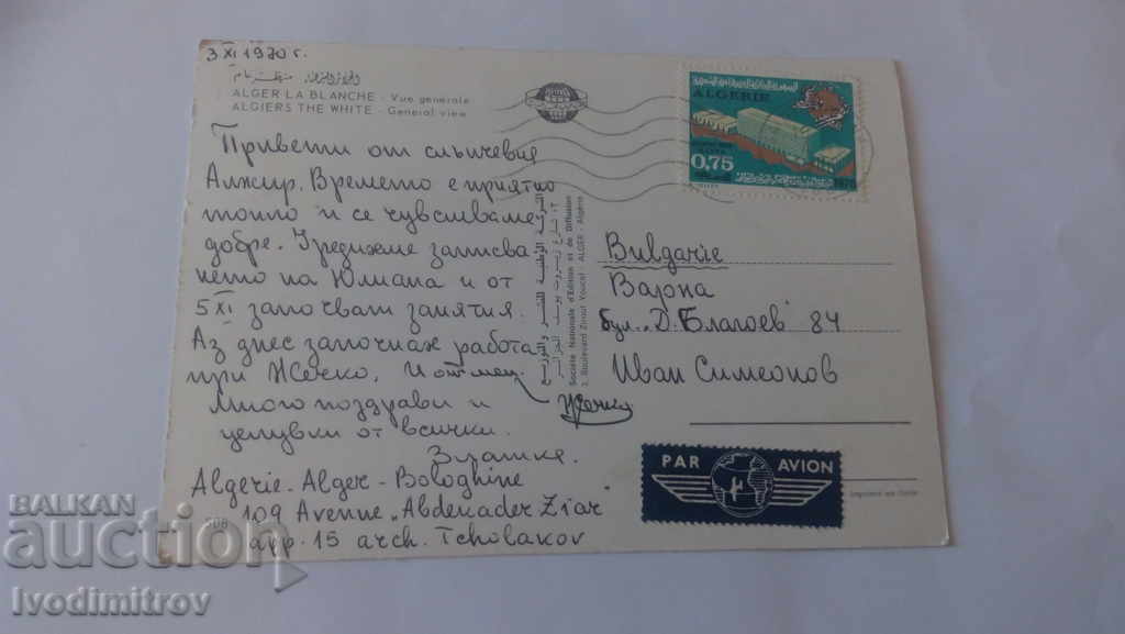 Postcard Algiers General View 1970 with price 0.55 BGN | € 0.28 Postcard Algiers General View 1970 with price 0.55 BGN | € 0.28