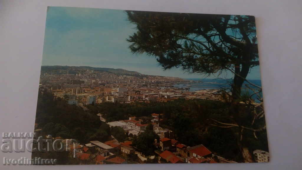 Postcard Algiers General View 1970