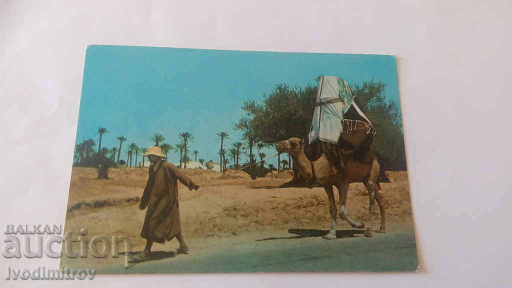 Пощенска картичка Djerba La Johfa