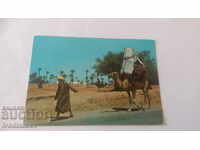 Carte poștală Djerba La Johfa