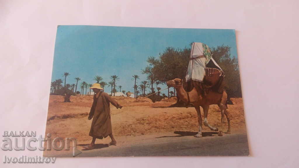 Carte poștală Djerba La Johfa