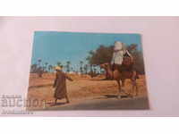 Пощенска картичка Djerba La Johfa