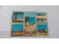 Пощенска картичка Djerba Club Mediterranee